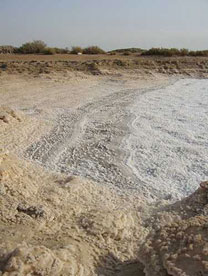 بحيرة ملح - بوبيان