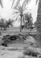آبار المياه في الجهراء قديما آبار المياه في الجهراء قديما