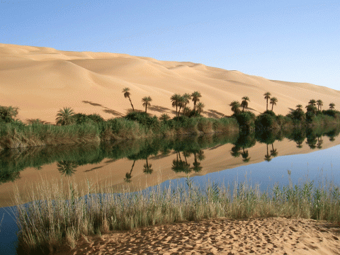 الصحراء 