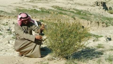 لقاء مع م. عبدالمحسن السريع لقاء مع م. عبدالمحسن السريع