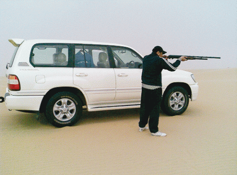 الطيور العربية الطيور العربية
