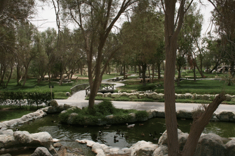محمية العرين محمية العرين