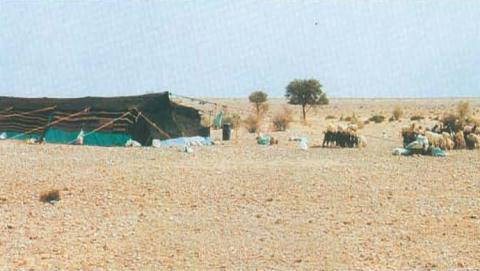 مخيمات الربيع